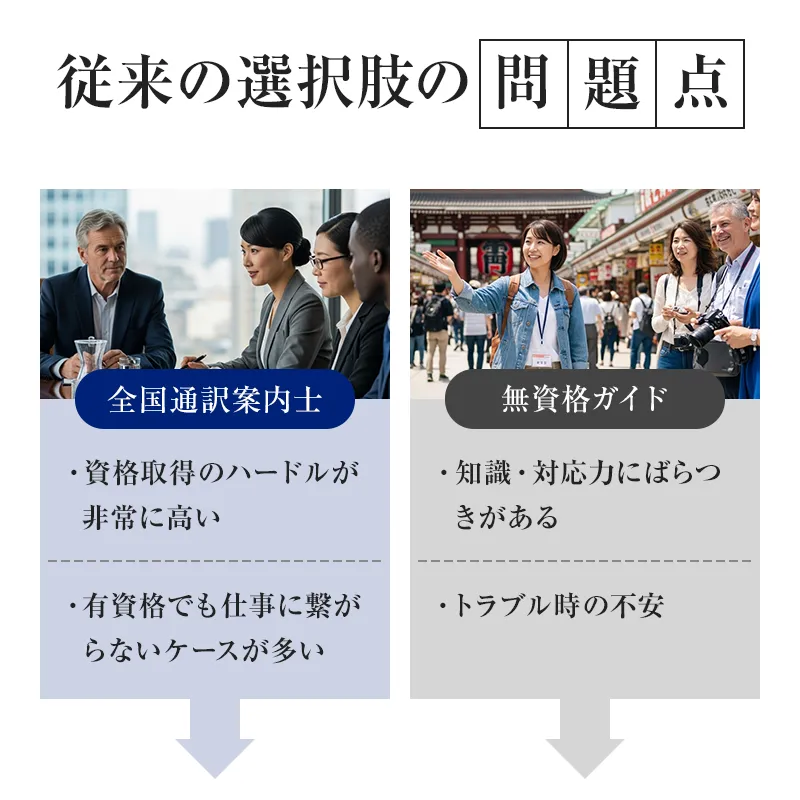 従来の選択肢の問題点